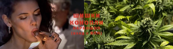 spice Гатчина