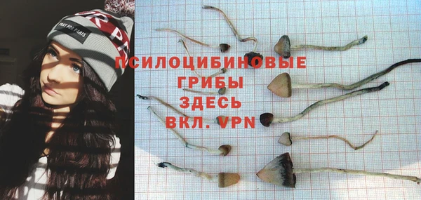 спайс Надым