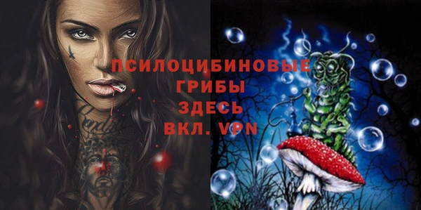 спайс Надым
