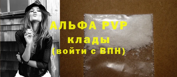прущие грибы Михайловка