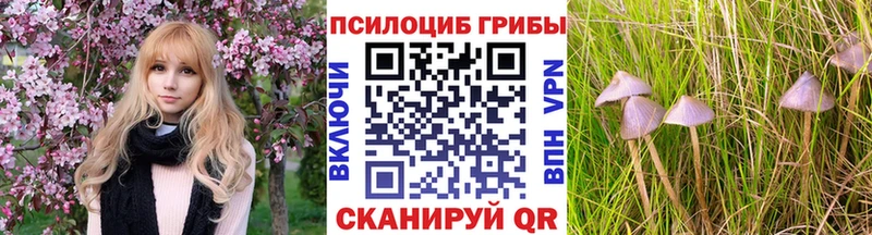 Галлюциногенные грибы мицелий  Нижний Ломов 